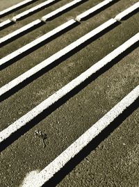 Full frame shot of grass
