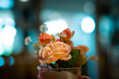 Close-up of roses in vase on table