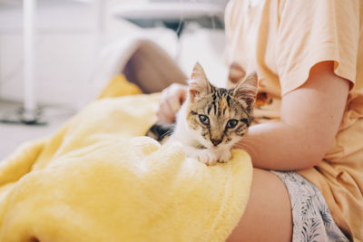 Kitten lying on young girl in her bedroom