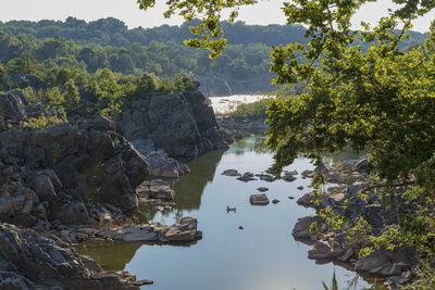 Reflection of trees and rocks in lake