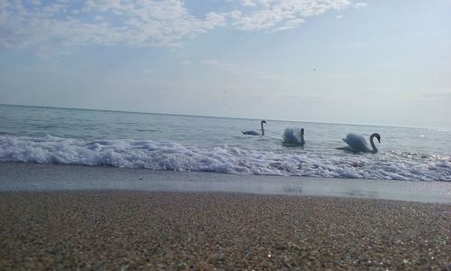 Scenic view of beach against sky