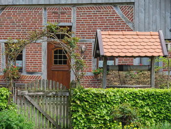 Plants growing in front of building