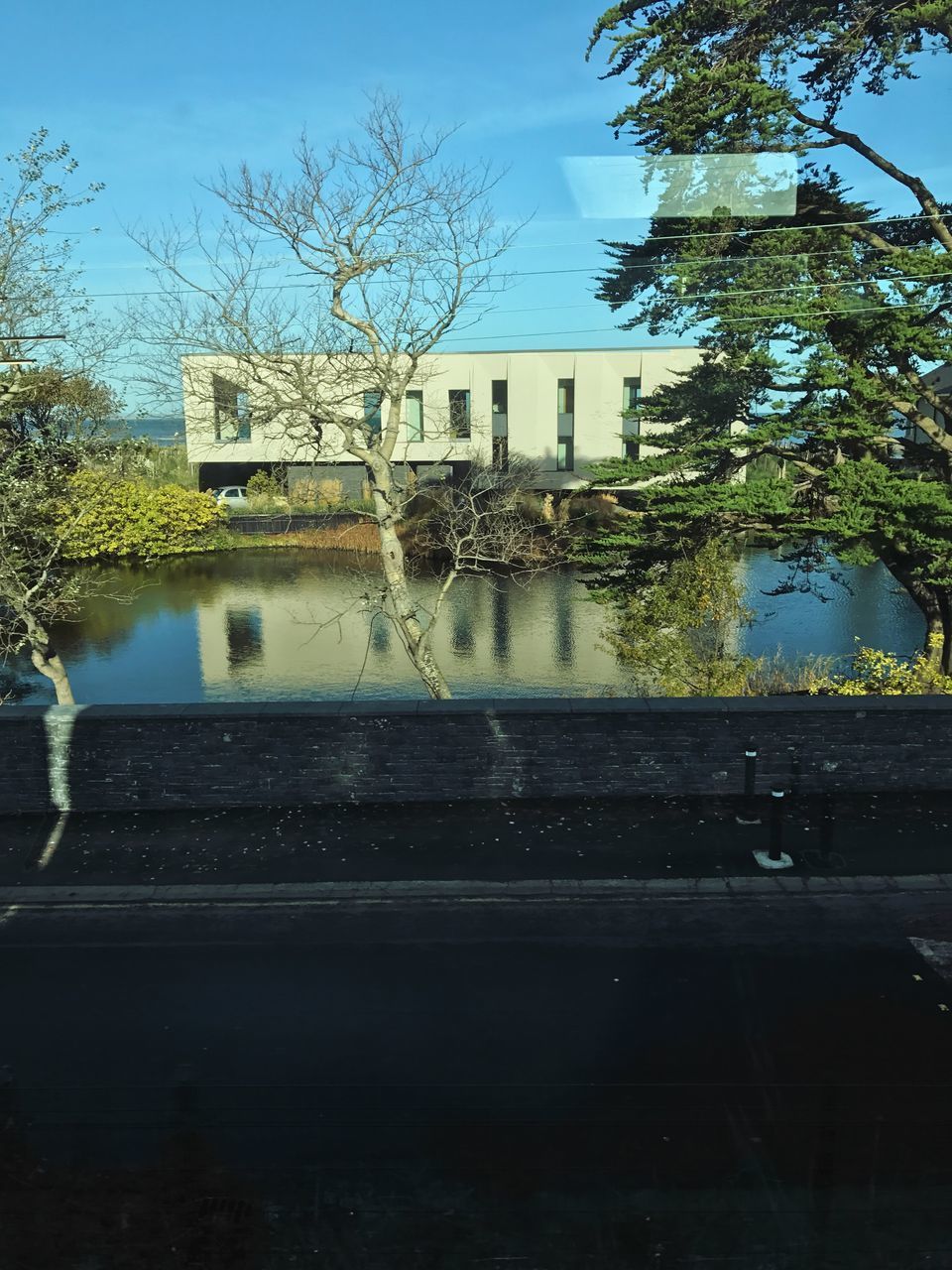 REFLECTION OF TREES BY SWIMMING POOL AGAINST SKY