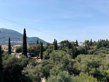 Panoramic view of trees and buildings against sky