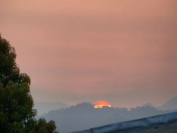 Low angle view of trees against sky at sunset