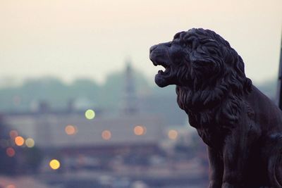 Close-up of lion statue against defocused background