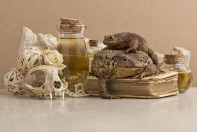 Close-up of toy on table