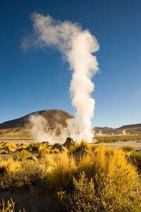 Fumaroles at el tatio geysers at an altitude of 4300m, atacama desert, chile, south america