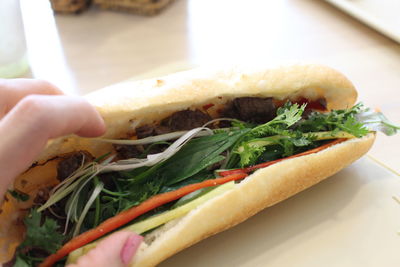 Close-up of hand holding food