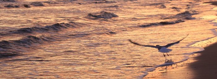 Full length of person flying over water during sunset