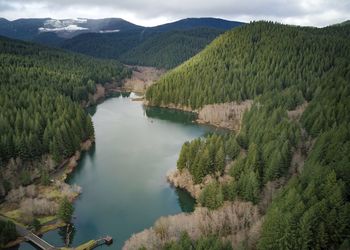 High angle view of trees and mountains against sky