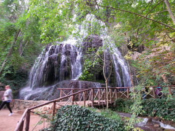 Waterfall in forest