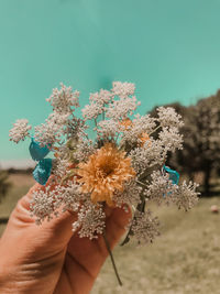 Close-up of hand holding flowering plant