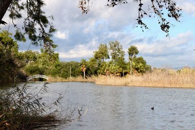 Scenic view of lake against sky