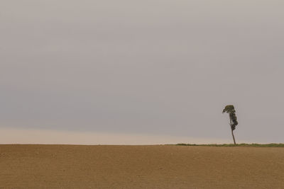 Man standing on desert