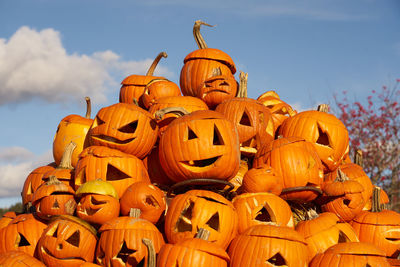 Low angle view of pumpkins against sky