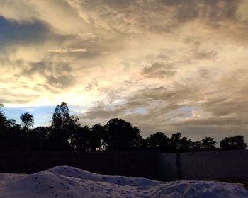 Trees on field against sky during sunset