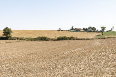 Scenic view of field against clear sky