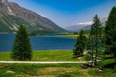 Upper engadine, lake sils, and the village of isola, photographed from above in summer.