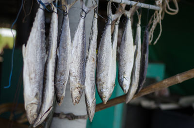 Close-up of dried fish hanging at market for sale