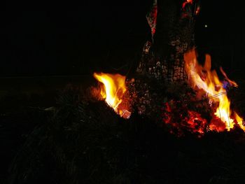 Bonfire at night