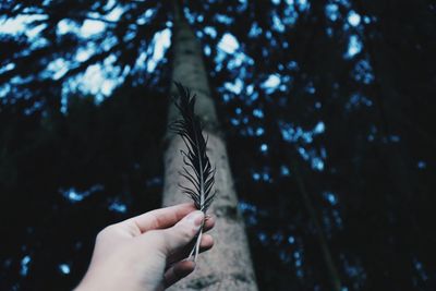 Cropped image of hand holding plant