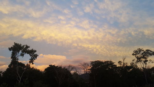 Low angle view of silhouette trees against sky