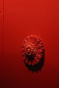 High angle view of red flower against orange background