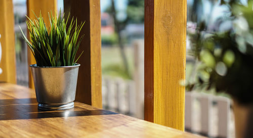 Close-up of potted plant on table