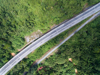 High angle view of road amidst trees