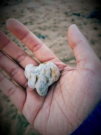 Cropped image of hand with stone