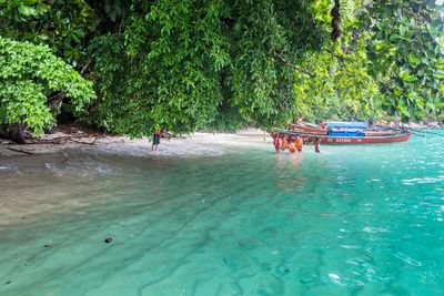 Boats in swimming pool against trees