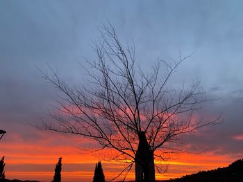 Silhouette bare tree against sky during sunset