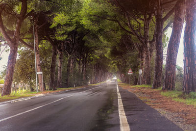 Empty road along trees in forest