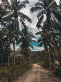 Road amidst trees against sky