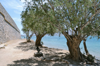 Trees on beach against sky