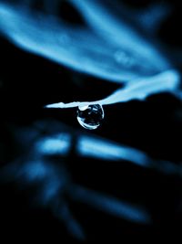 Close-up of water drop on leaf