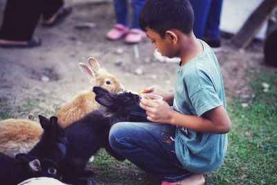 Side view of boy feeding rabbits on land