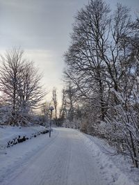 Winter sunshine