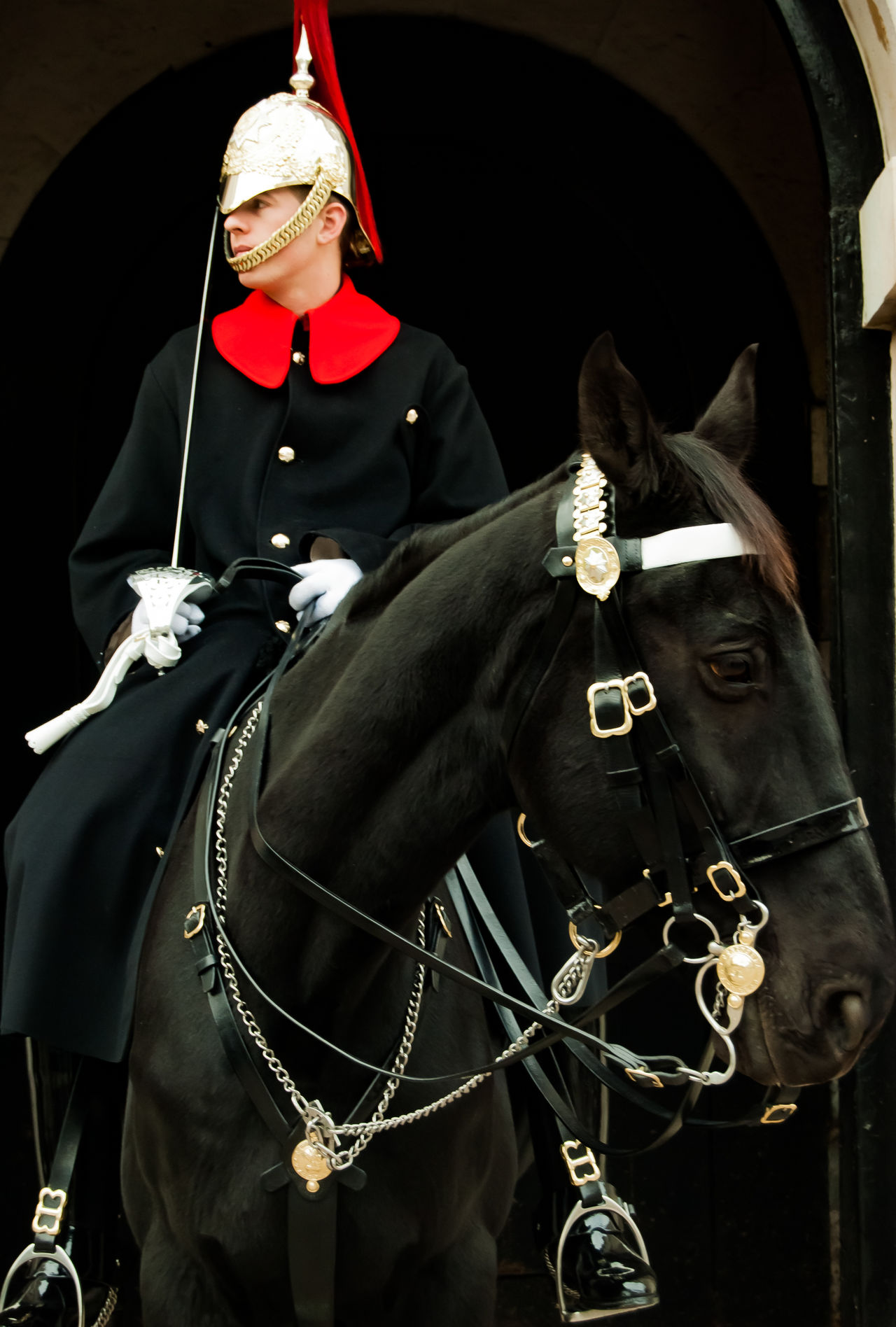 The King's Troop Royal Horse Artillery