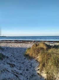 Scenic view of sea against clear blue sky