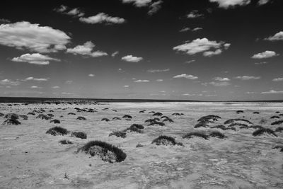 Scenic view of beach against sky