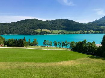Scenic view of lake and trees against sky