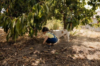 Child playing with dog