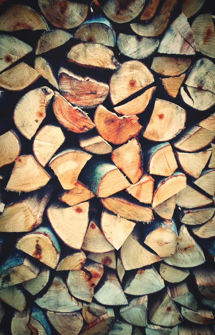 full frame, backgrounds, abundance, deforestation, lumber industry, large group of objects, log, repetition, firewood, day, woodland, no people