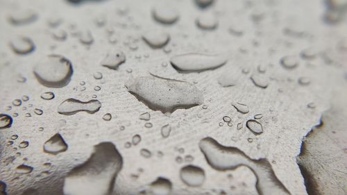 High angle view of raindrops on rainy day