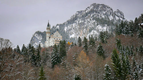 Neuschwanstein castle, on a hill in the winter.