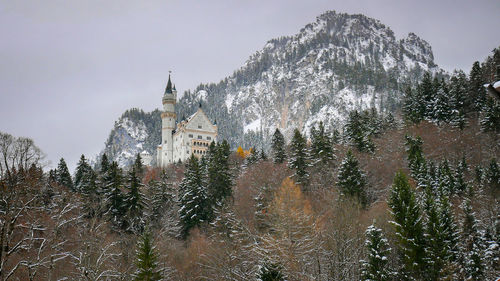 Neuschwanstein castle, on a hill in the winter.