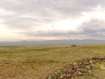 Scenic view of field against sky