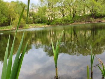 Scenic view of lake